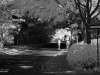Walking
